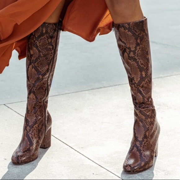 Aldo Shoes - Aldo Faux Snakeskin “Aloessa” Heel Boots!